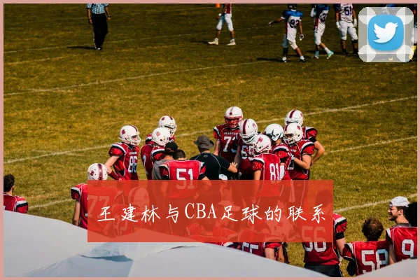 王建林与CBA足球的联系
