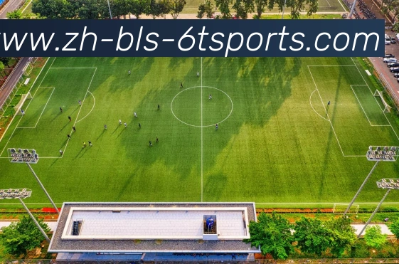 6T体育服务体系